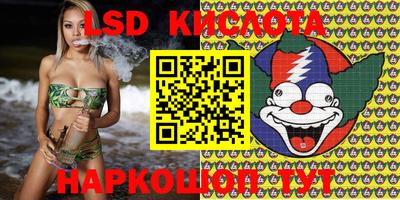 дмт Будённовск