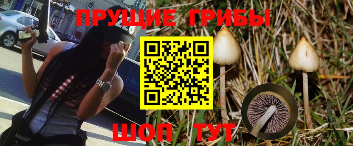 Галлюциногенные грибы прущие грибы Валуйки